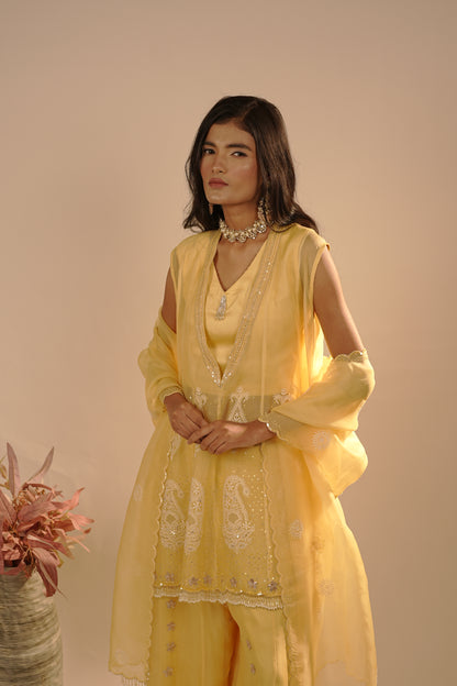 Drizzle Organza Co-ord