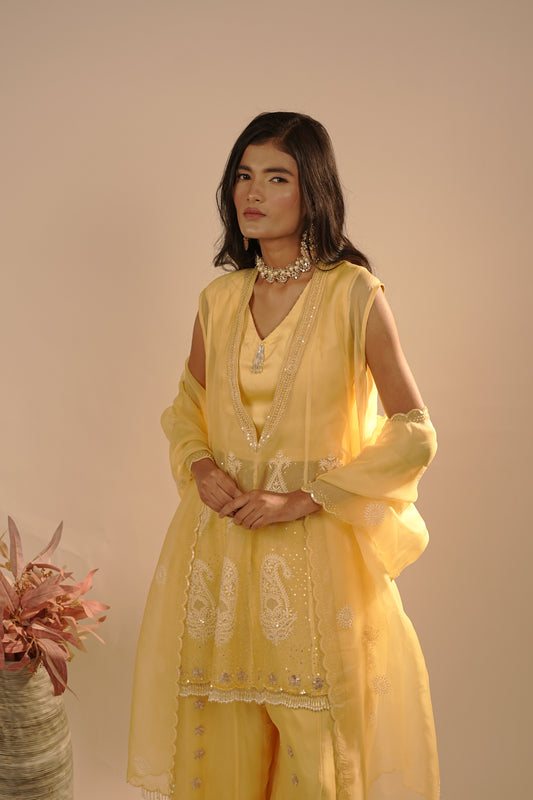 Drizzle Organza Co-ord