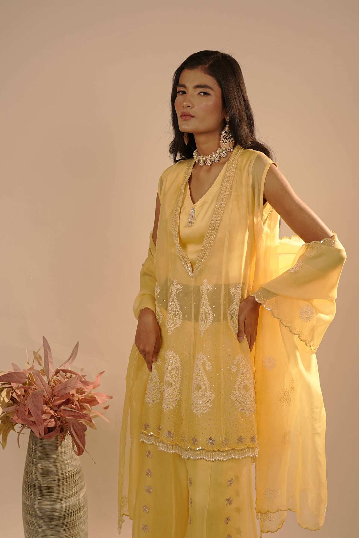 Drizzle Organza Co-ord
