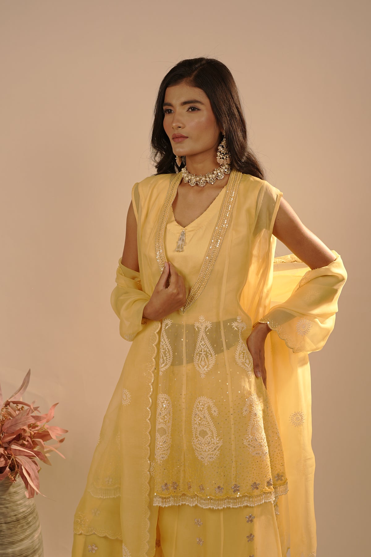 Drizzle Organza Co-ord