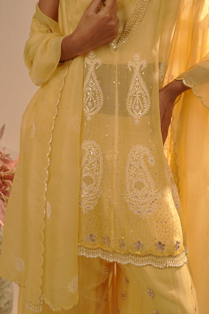 Drizzle Organza Co-ord