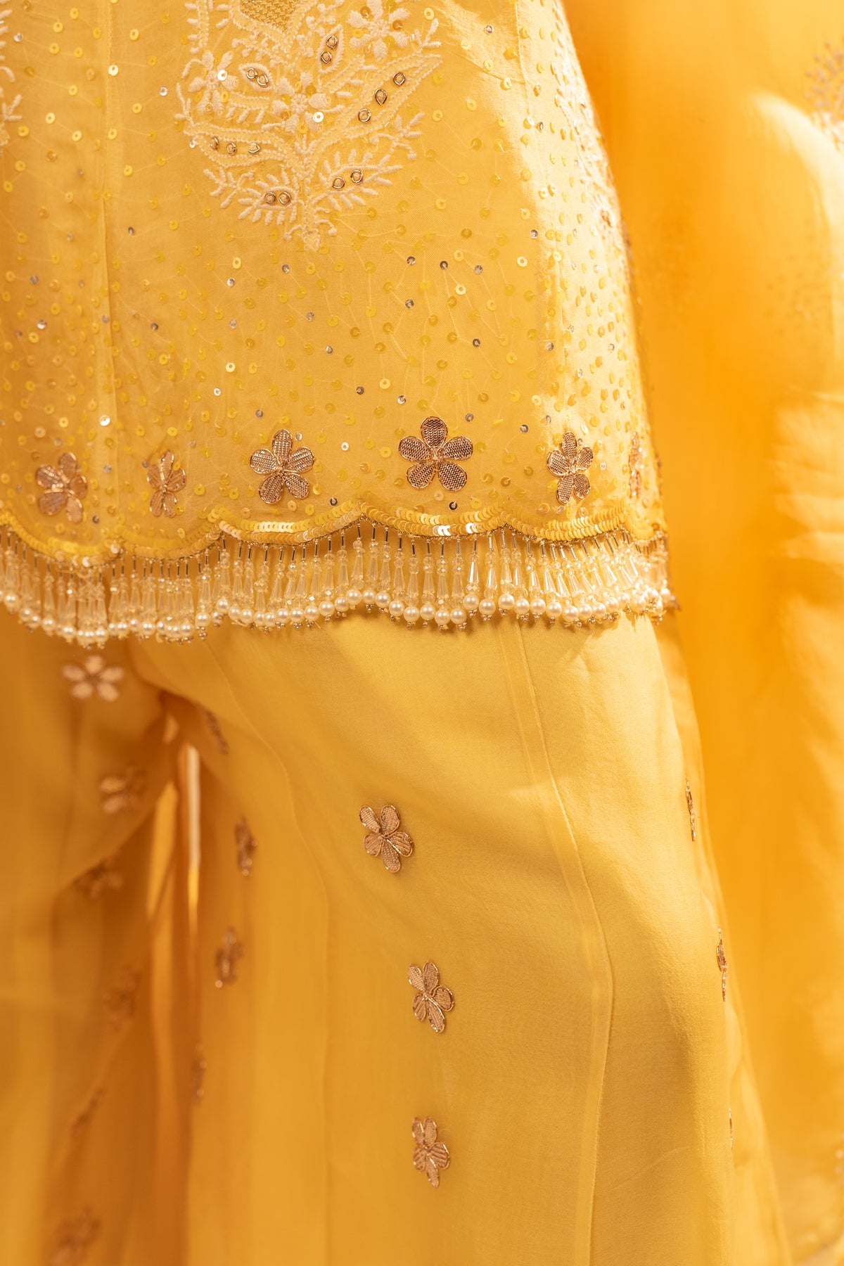 Drizzle Organza Co-ord