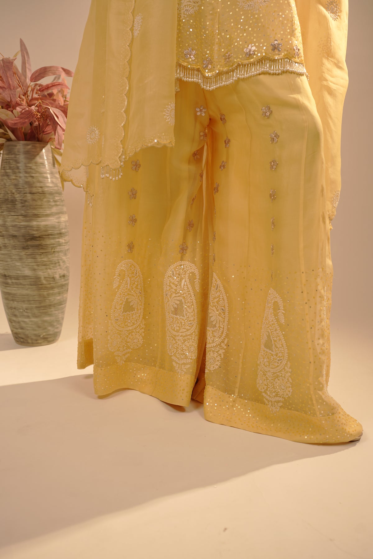 Drizzle Organza Co-ord