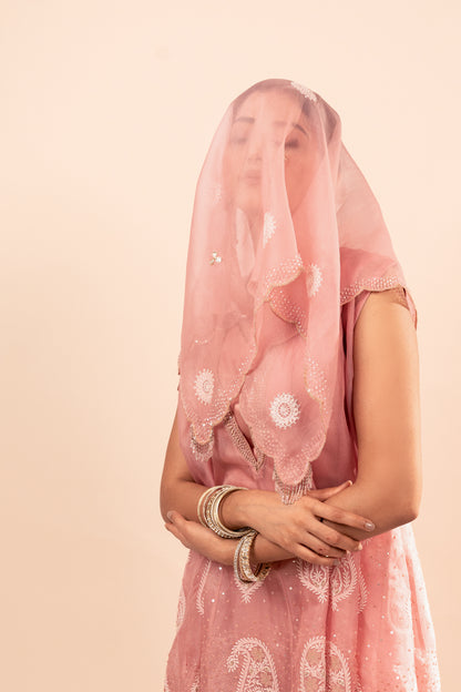 Copper Drizzle Organza set