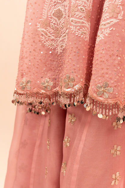 Copper Drizzle Organza set