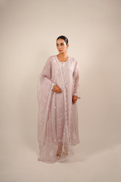 Eira organza anarkali set