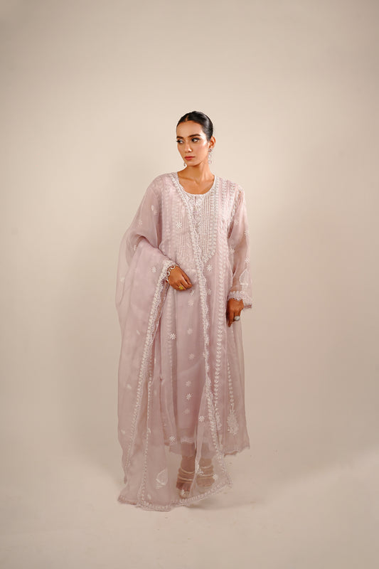 Eira organza anarkali set