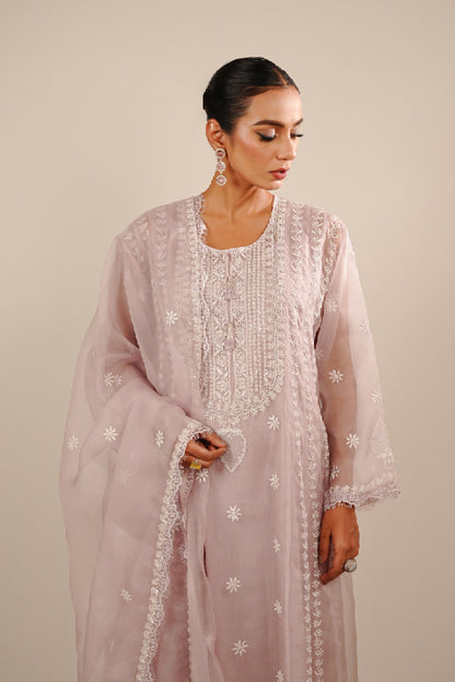 Eira organza anarkali set